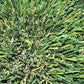 Jungle Grass - Durable Lawn Artificial Grass Turf Rug