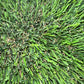 K9 Park - Durable Lawn Artificial Grass Turf Rug