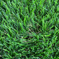 Mia Dream Turf - Durable Lawn Artificial Grass Turf Rug