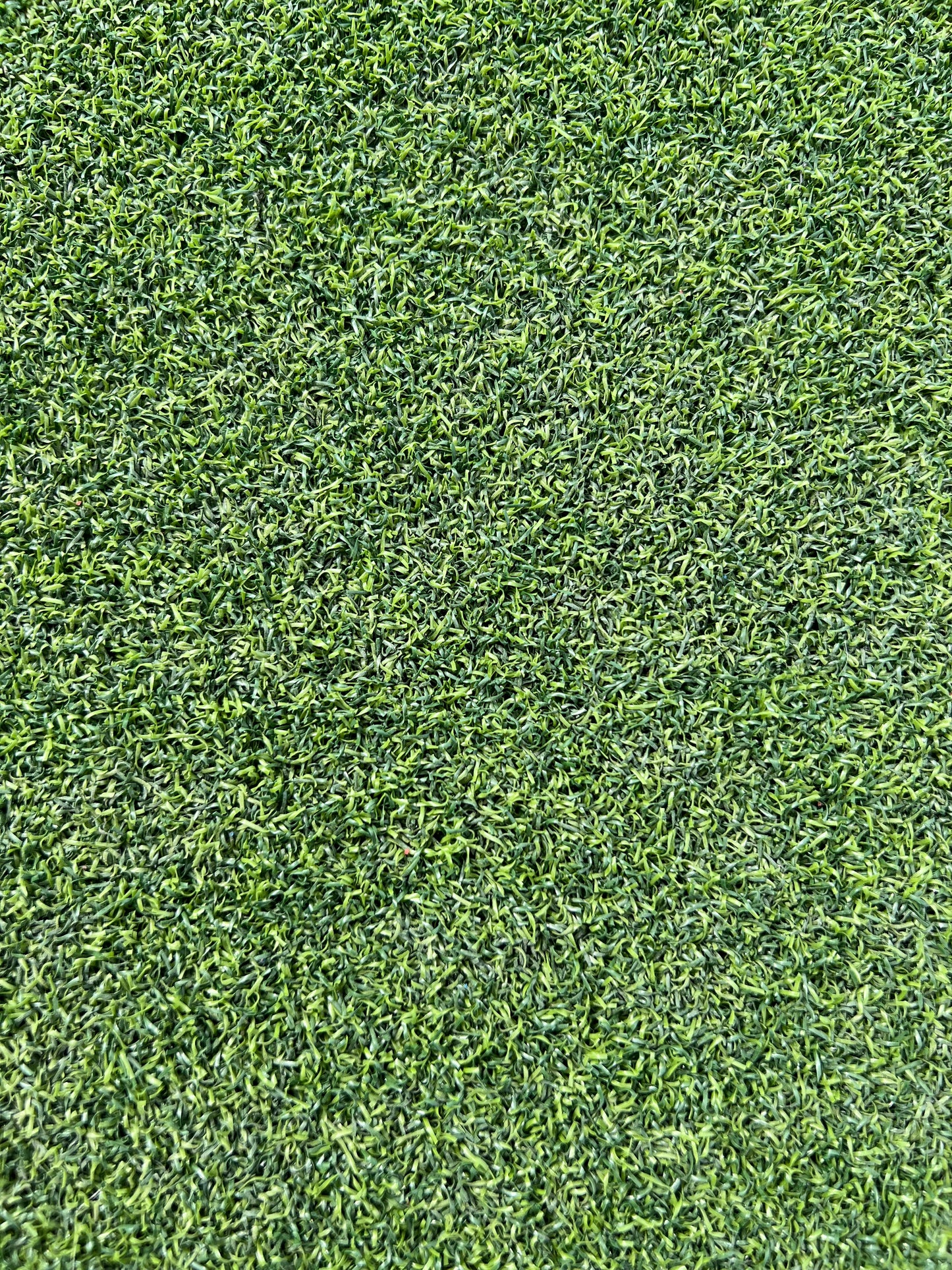 PuttingGreen - Durable Lawn Artificial Grass Turf Rug