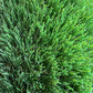 TurfDeluxe (Cashmere) - Durable Lawn Artificial Grass Turf Rug